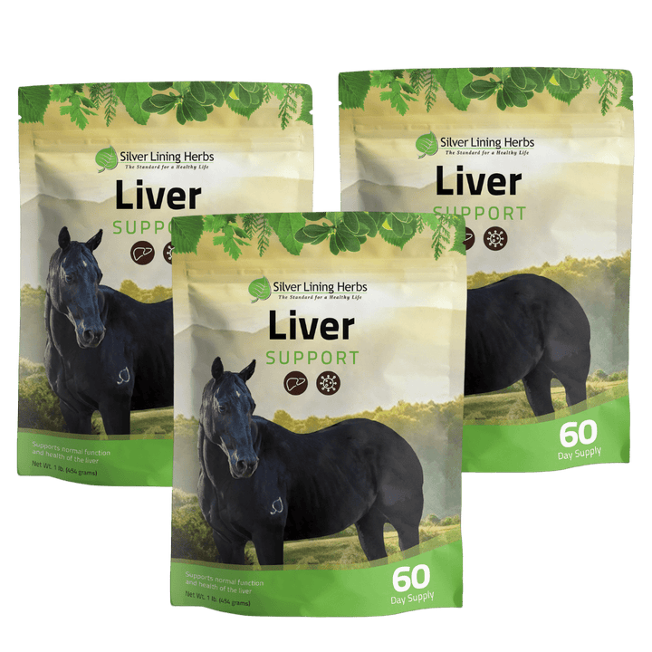 Liver Support for Horses Silver Lining Herbs