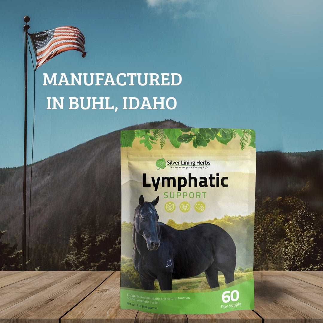 Silver Lining Herbs Lymphatic Support for Horses Silver Lining Herbs