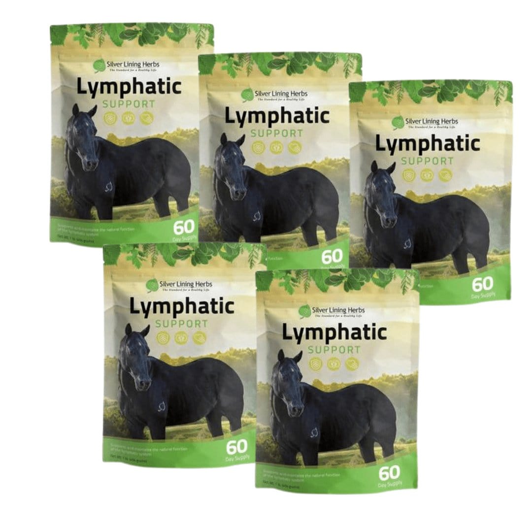 Silver Lining Herbs Lymphatic Support for Horses Silver Lining Herbs