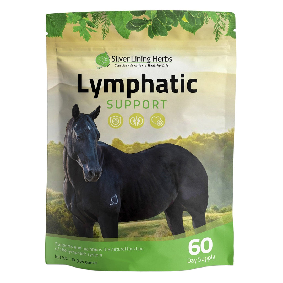 Silver Lining Herbs Lymphatic Support for Horses Silver Lining Herbs
