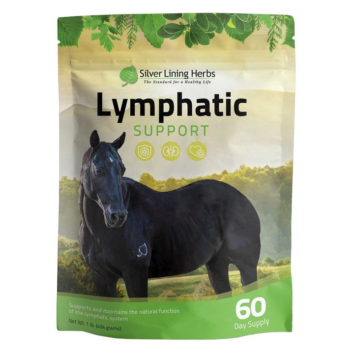 Silver Lining Herbs Lymphatic Support for Horses Silver Lining Herbs