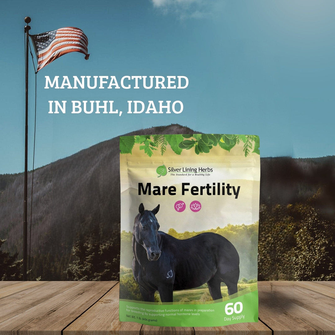 Mare Fertility For Horses Silver Lining Herbs