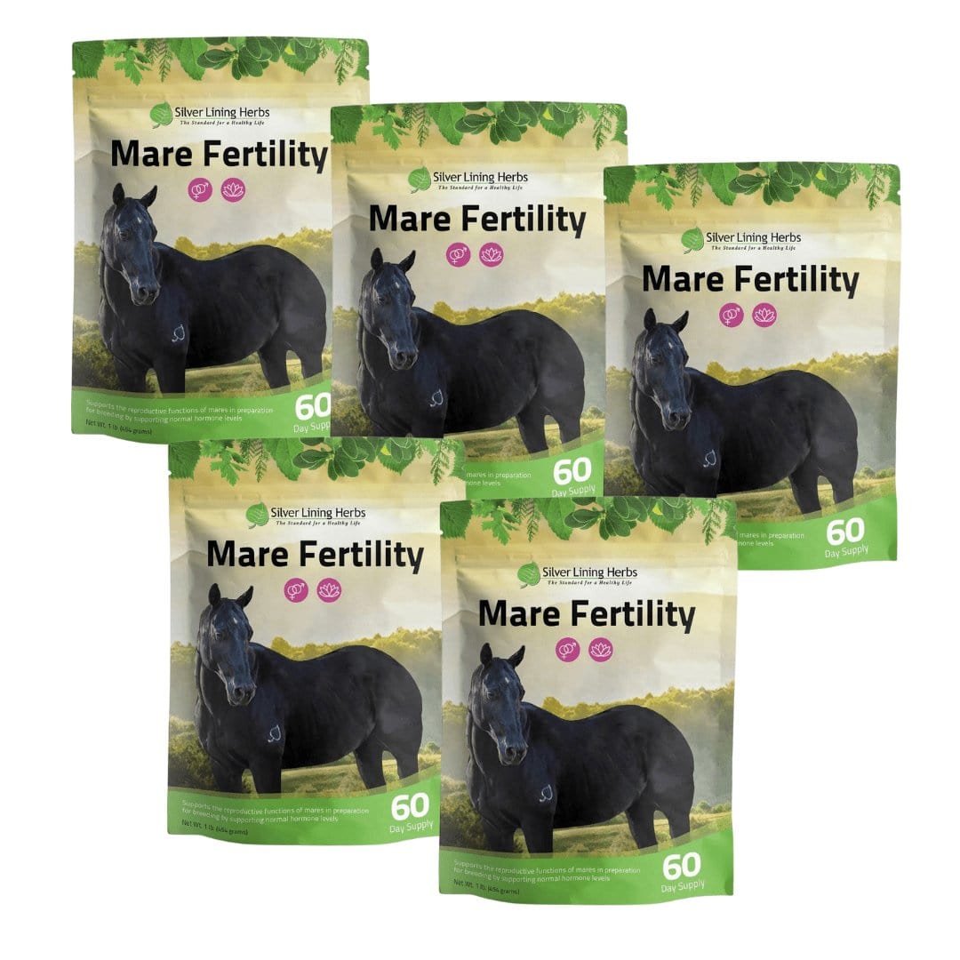 Mare Fertility For Horses Silver Lining Herbs
