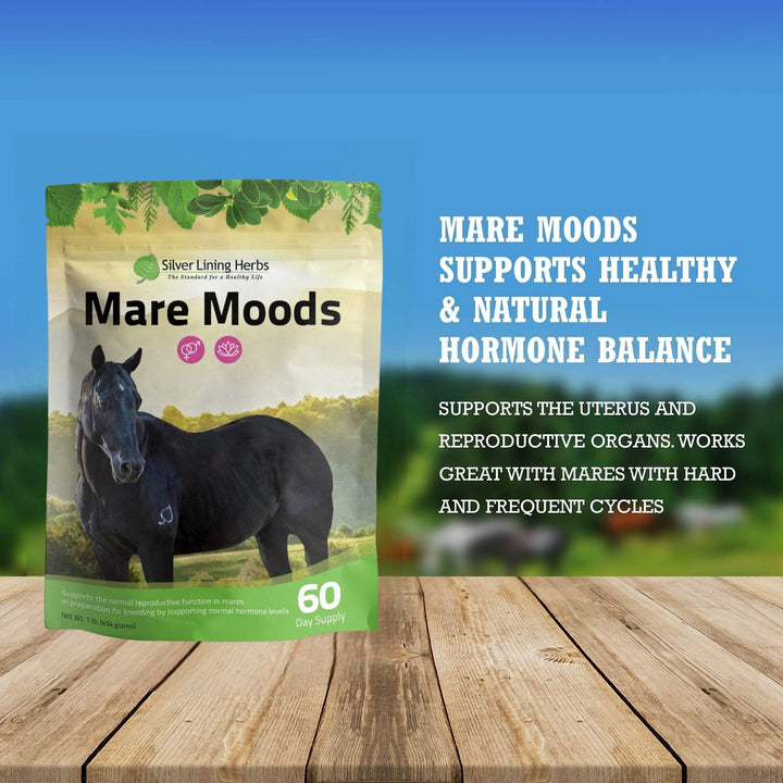 Mare Moods For Horses Silver Lining Herbs