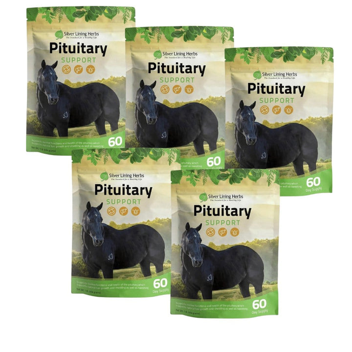 Pituitary Support for Horses Silver Lining Herbs