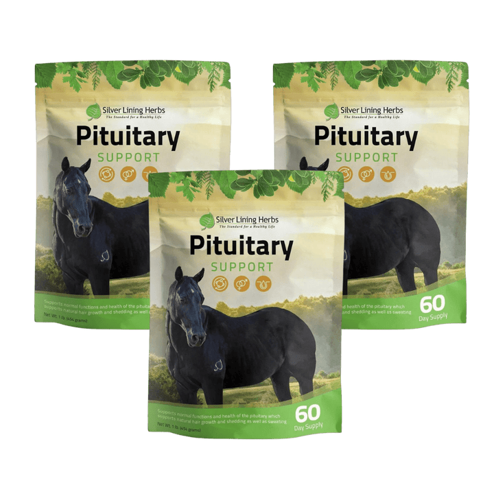 Pituitary Support for Horses Silver Lining Herbs