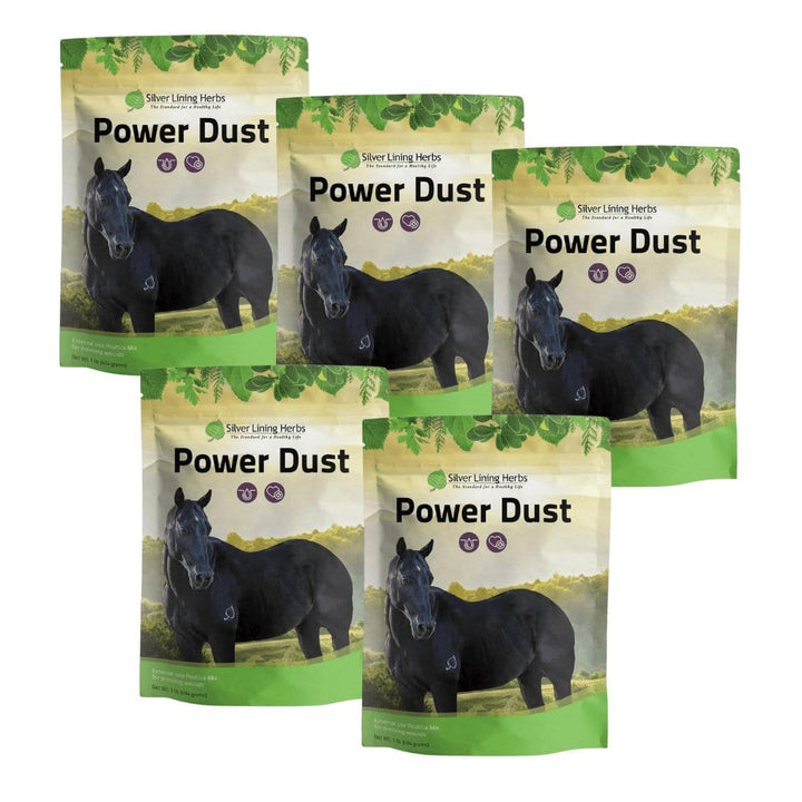 Power Dust for Horses Silver Lining Herbs