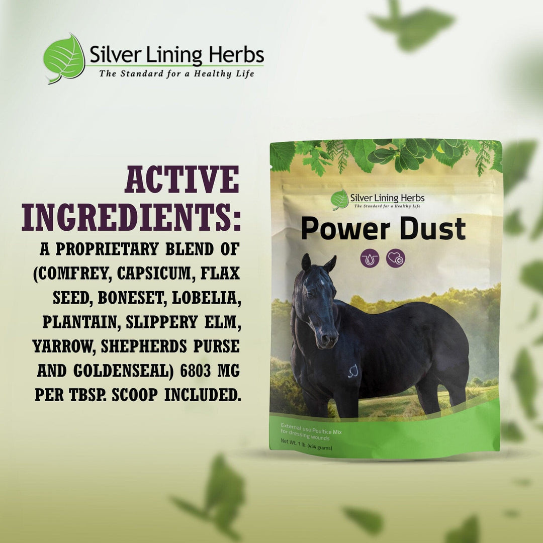 Power Dust for Horses Silver Lining Herbs