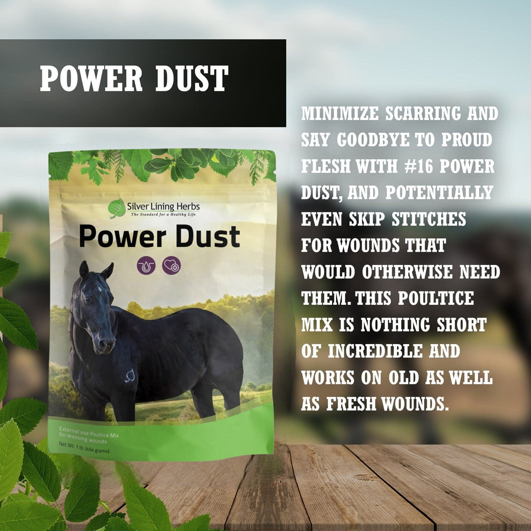 Power Dust for Horses Silver Lining Herbs