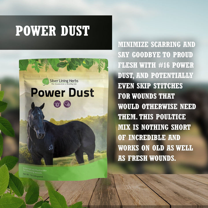 Power Dust for Horses Silver Lining Herbs