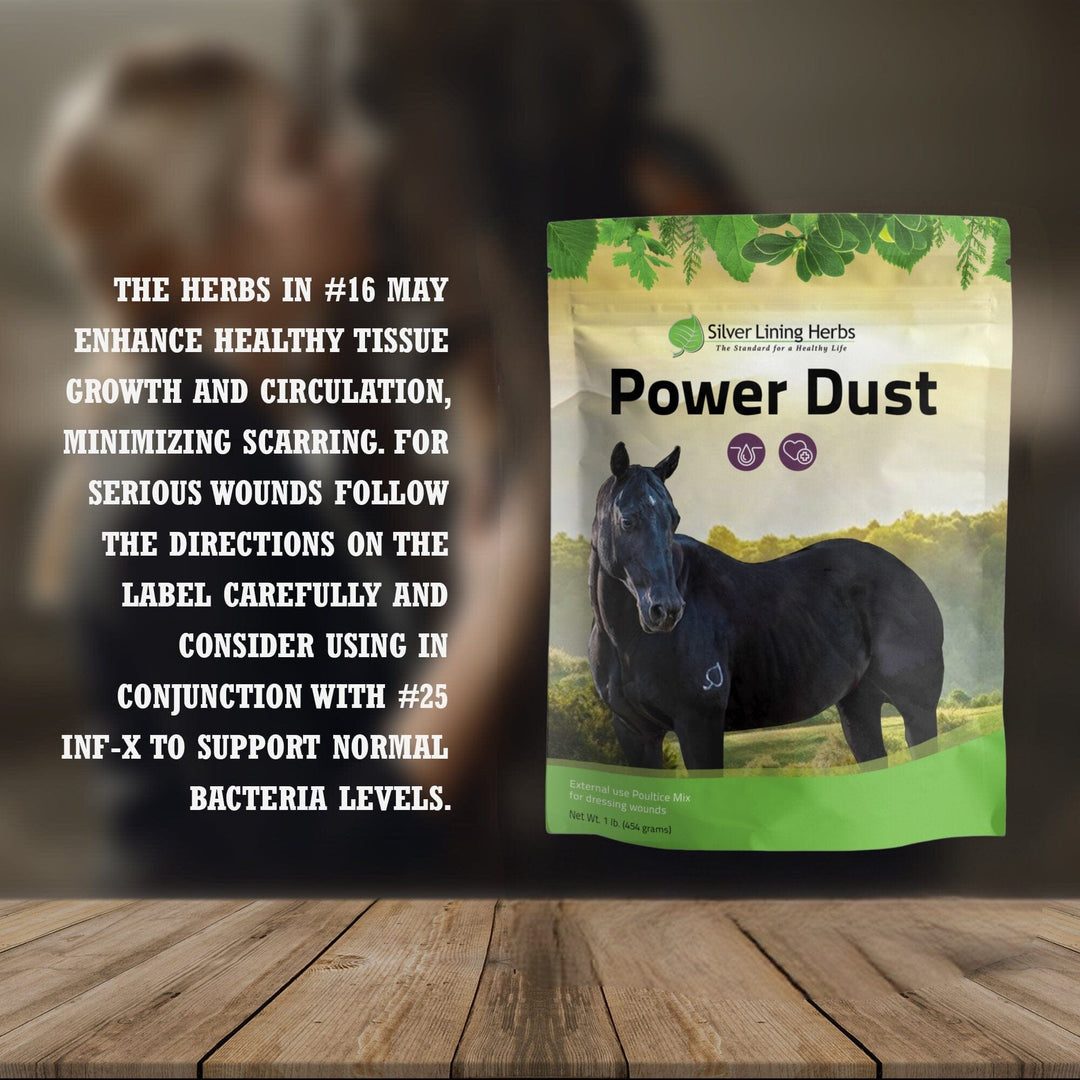 Power Dust for Horses Silver Lining Herbs