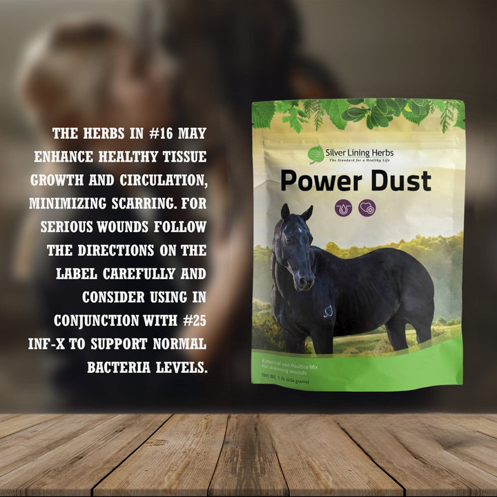 Power Dust for Horses Silver Lining Herbs