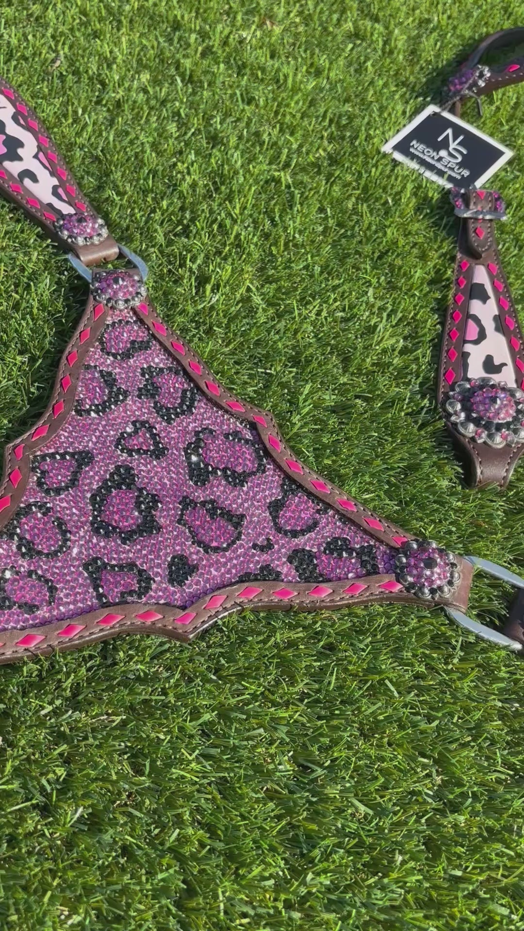 Catty Cowgirl Crystal Breast Collar & Headstall Leather Tack Set