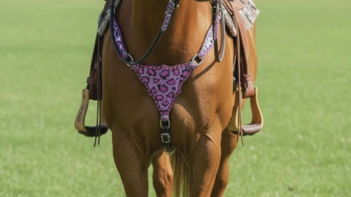 Catty Cowgirl Crystal Breast Collar & Headstall Leather Tack Set