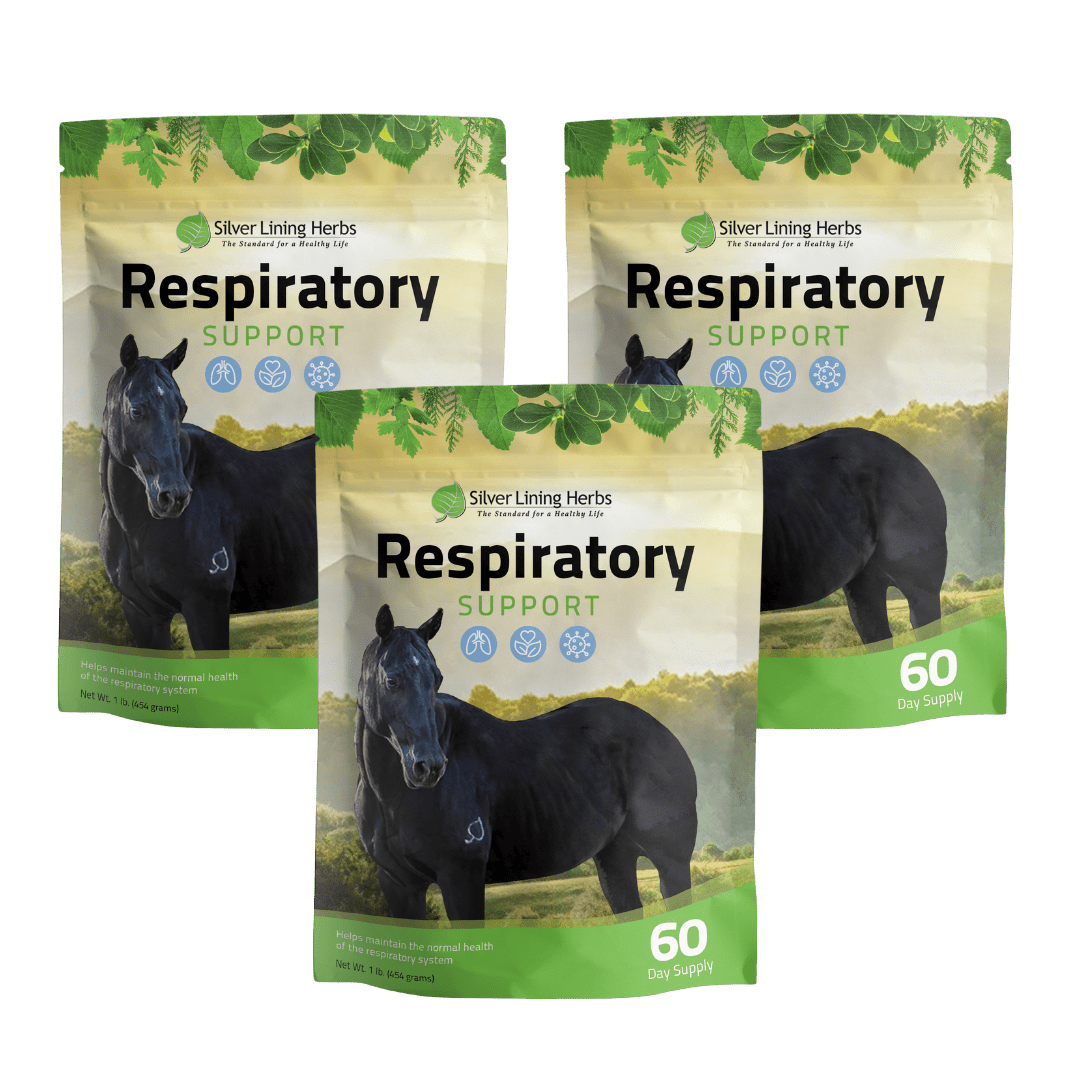 Respiratory Support for Horses Silver Lining Herbs