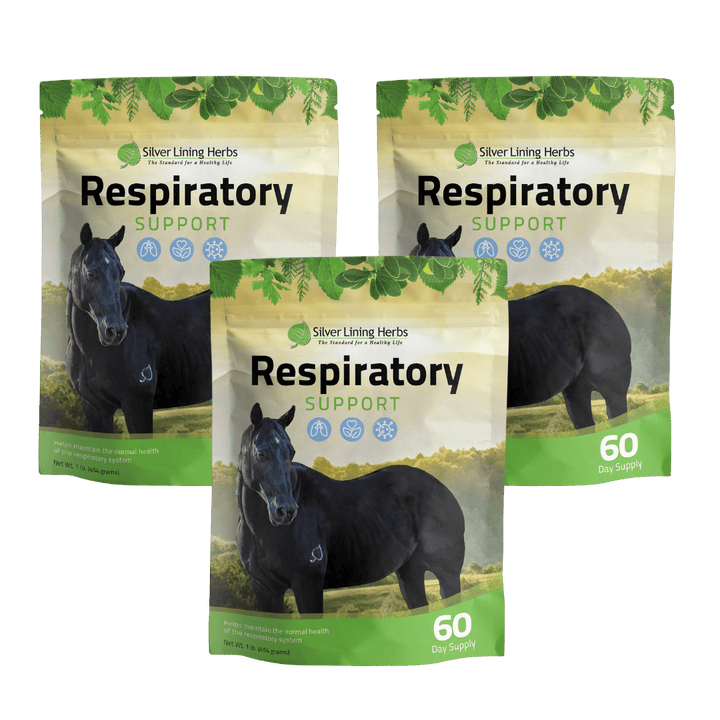 Respiratory Support for Horses Silver Lining Herbs