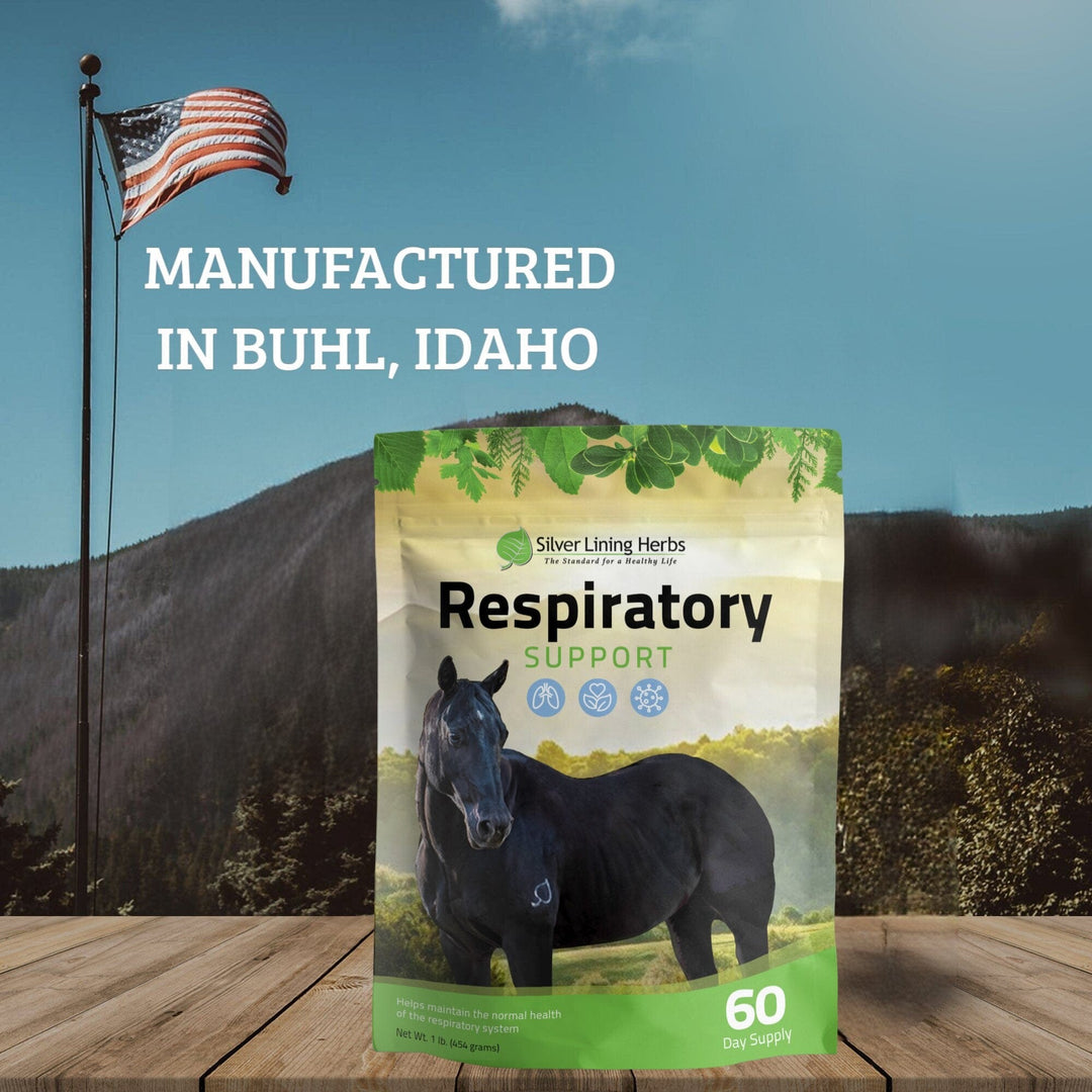 Respiratory Support for Horses Silver Lining Herbs