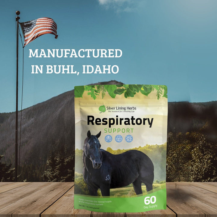 Respiratory Support for Horses Silver Lining Herbs