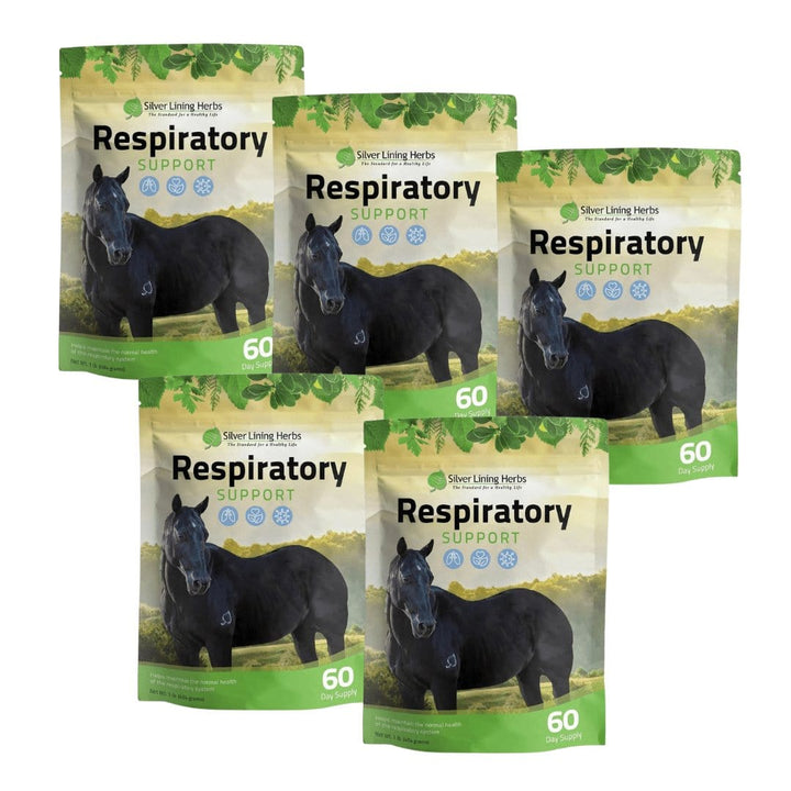 Respiratory Support for Horses Silver Lining Herbs