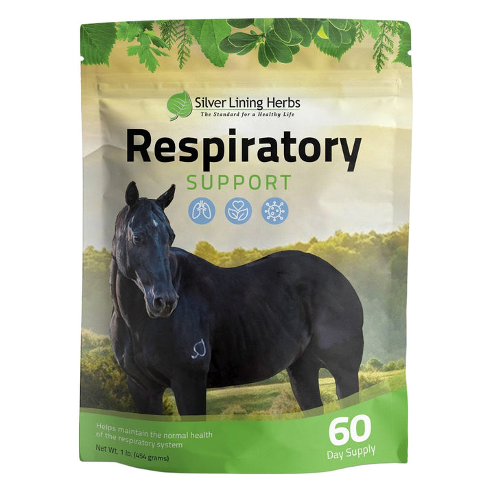Respiratory Support for Horses Silver Lining Herbs