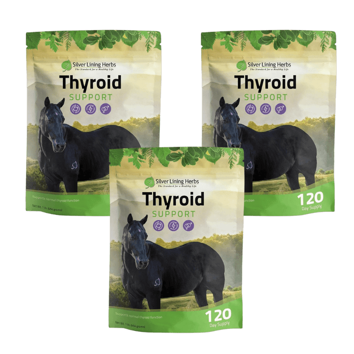 Thyroid Support for Horses Silver Lining Herbs