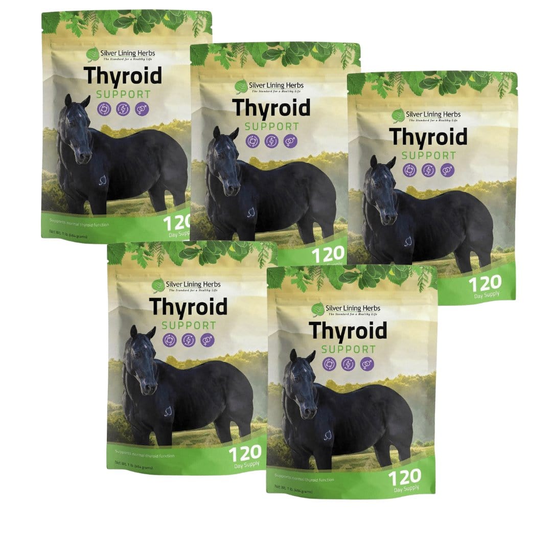 Thyroid Support for Horses Silver Lining Herbs