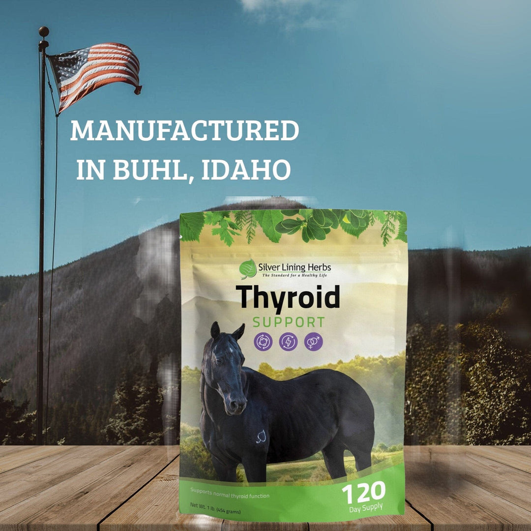 Thyroid Support for Horses Silver Lining Herbs
