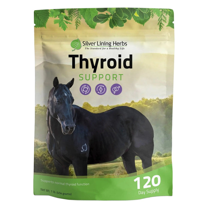 Thyroid Support for Horses Silver Lining Herbs