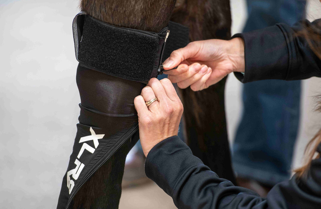 XLR8 G-Force Horse Compression Boot